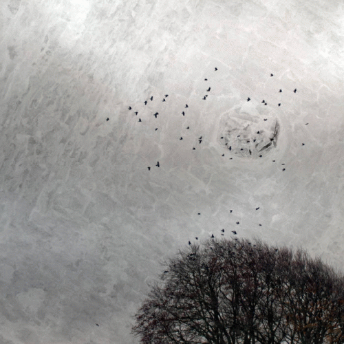 Pantheist : Warping Space Time